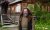 "Hagrid