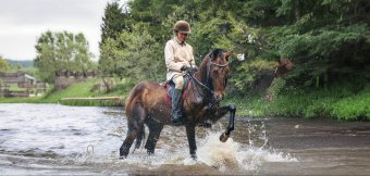 Horse riding club "KoniDuni": Photo